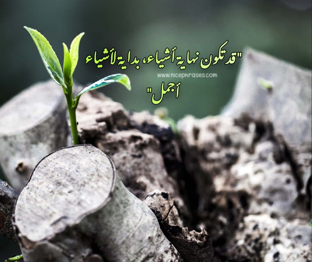 عبارات بداية جديدة