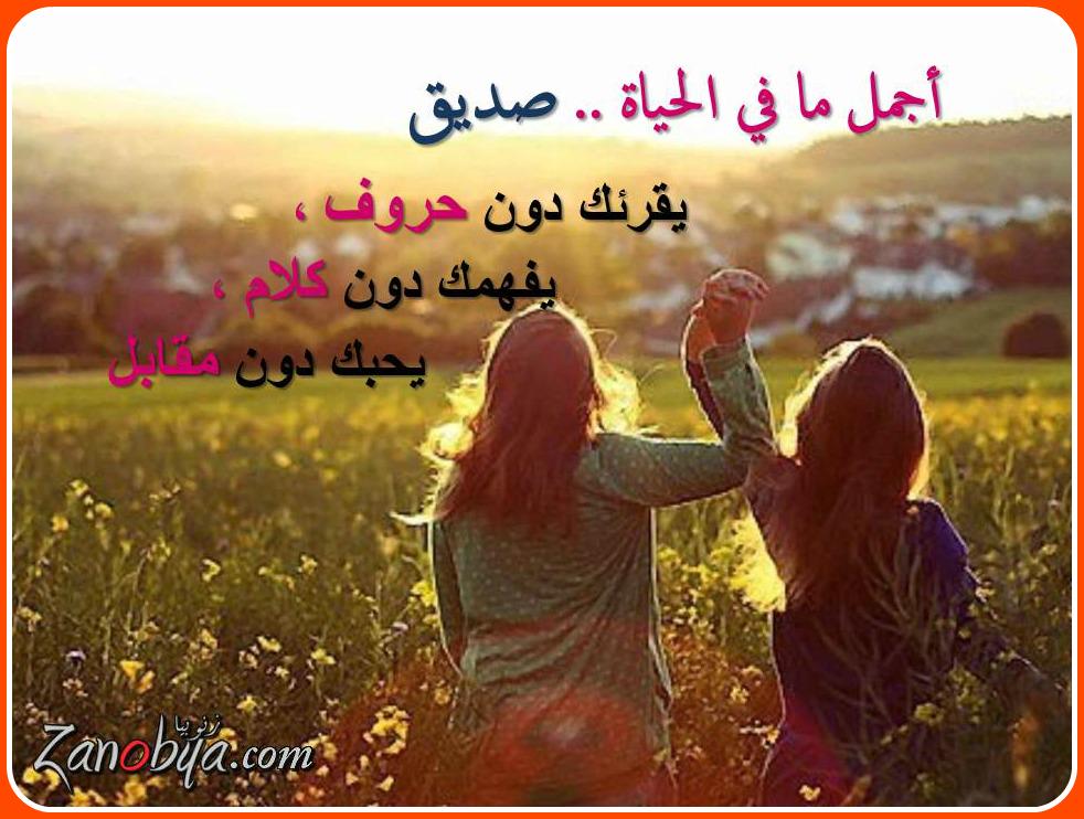 عبارات عن الشخص الذي يفهمك