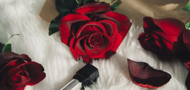 عبارات عن الشخص الذي يفهمك