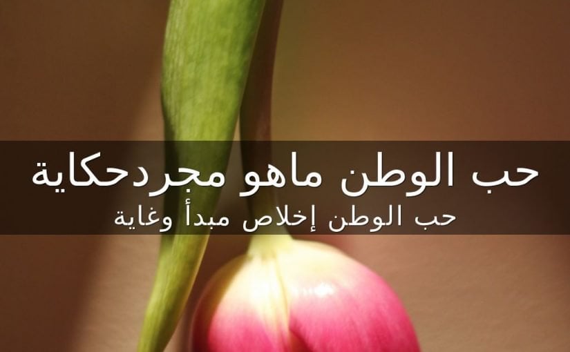 عبارات عن حب الوطن عمان