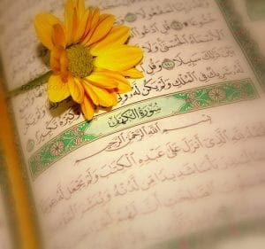 عبارات عن سورة الكهف