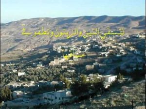 عبارات عن ضيعتي