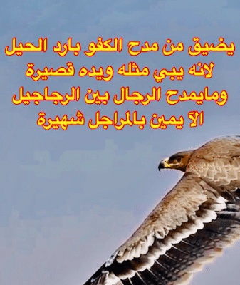 عبارات عن طيب الرجال