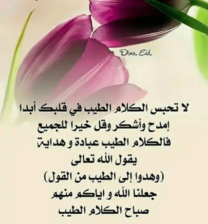 عبارات عن طيب الكلام
