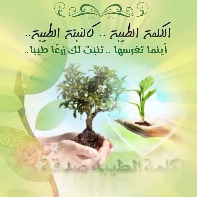 عبارات عن طيب الكلام