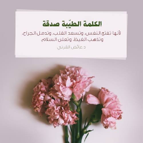 عبارات عن طيب الكلام