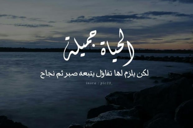 كلام جميل عن الحياة