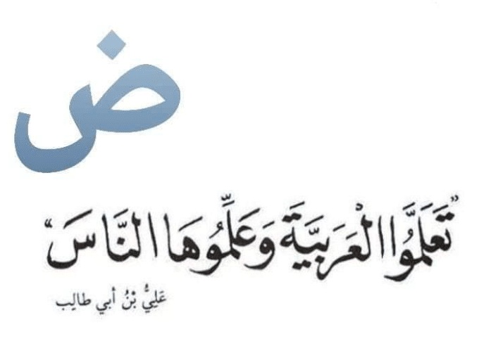 اقوال وحكم عن اللغة العربية 2025 - كلمات اغاني