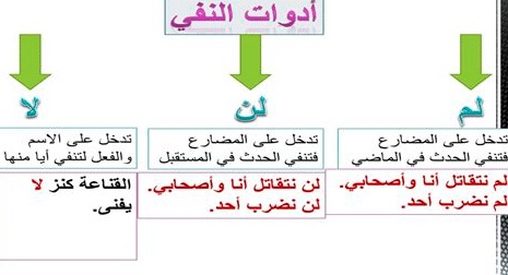 جمل فيها لم 2025 - كلمات اغاني