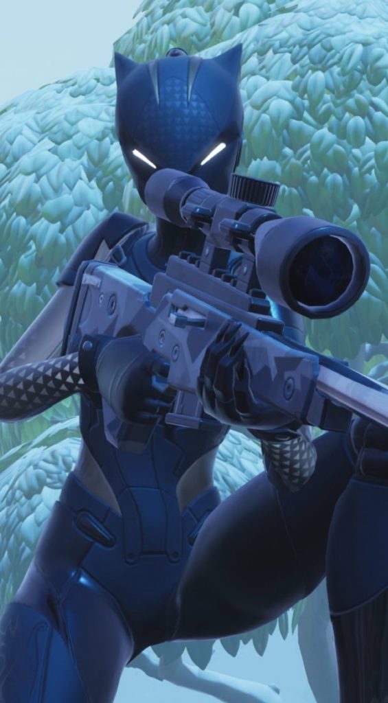 أجمل صور فورت نايت