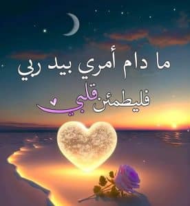أجمل عبارات فخمة