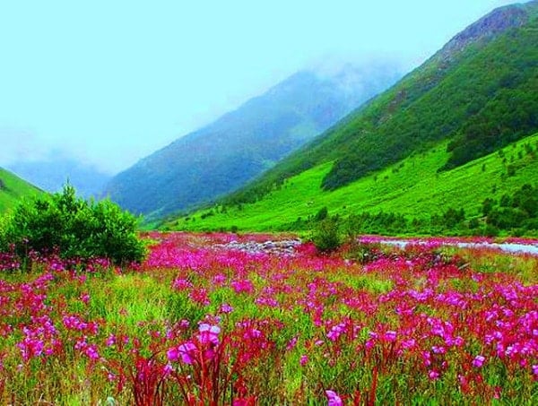 أجمل مناظر طبيعية في الهند