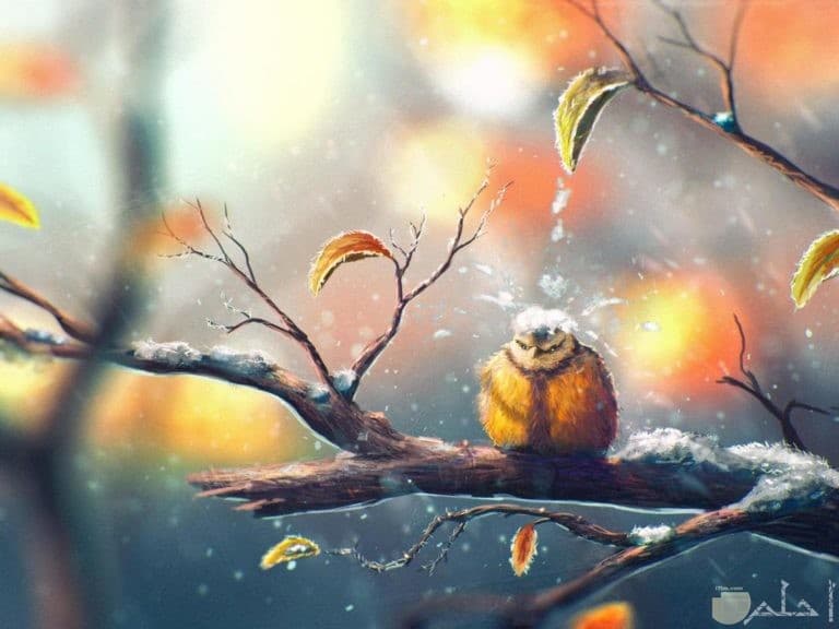 اجمل الصور المؤثرة والمعبرة