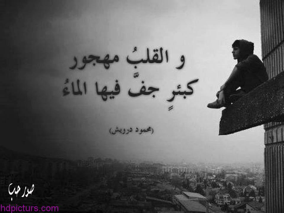 اجمل الصور المؤثرة والمعبرة