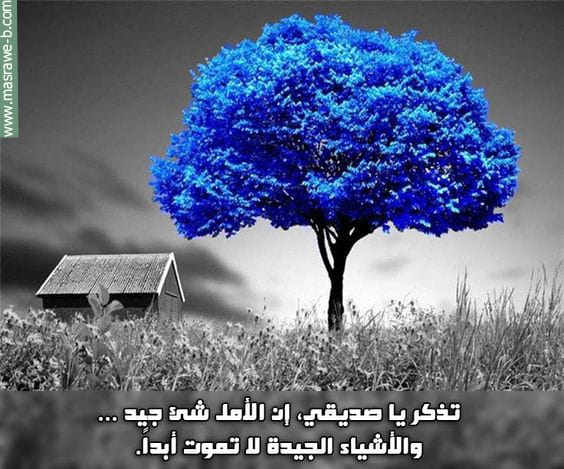اجمل الصور المؤثرة والمعبرة