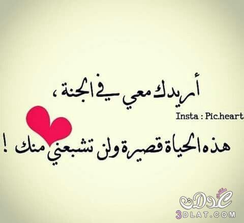اجمل الصور للحبيبين