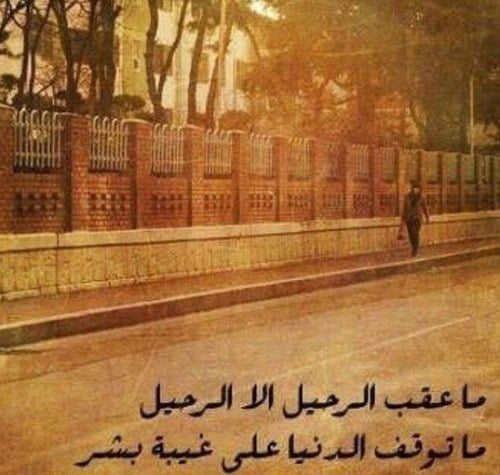 اجمل بيت شعر عن قسوة الحبيب