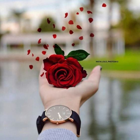 اجمل خلفيات واتس اب للبنات محجبات