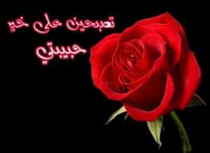 اجمل رسائل تصبح على خير حبيبتي