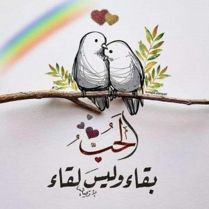 اجمل رسائل قصيرة للحبيبة