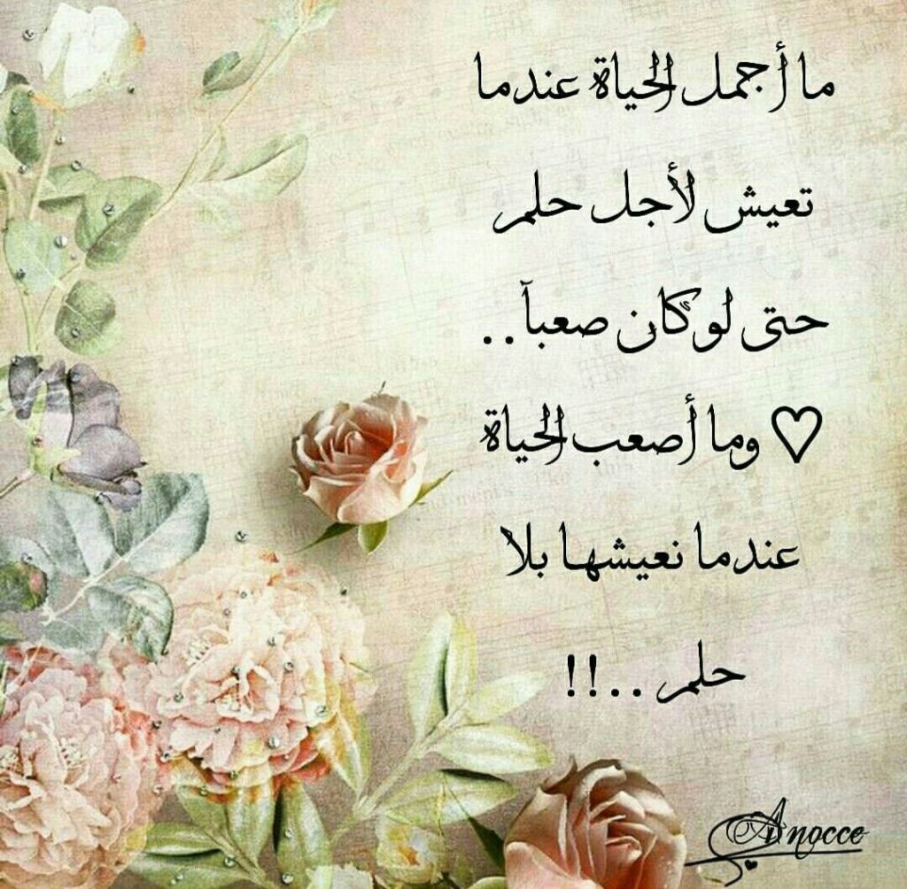 اجمل كلام عن الحياة الصعبة