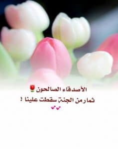 اجمل كلام في حب الاصدقاء