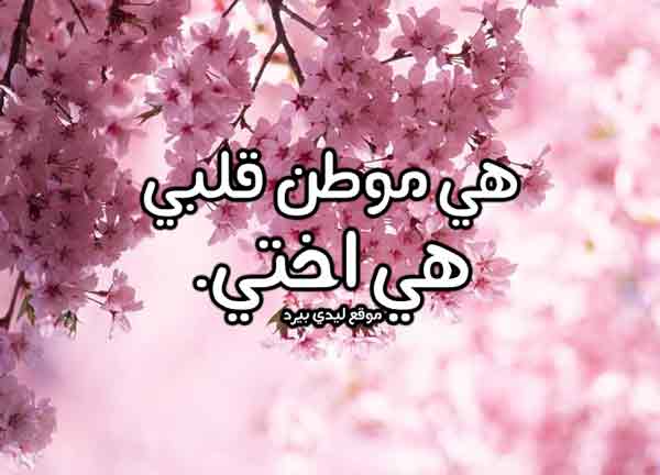 اجمل كلمات عن الاخت