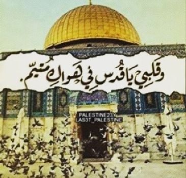 اجمل ما قيل عن القدس