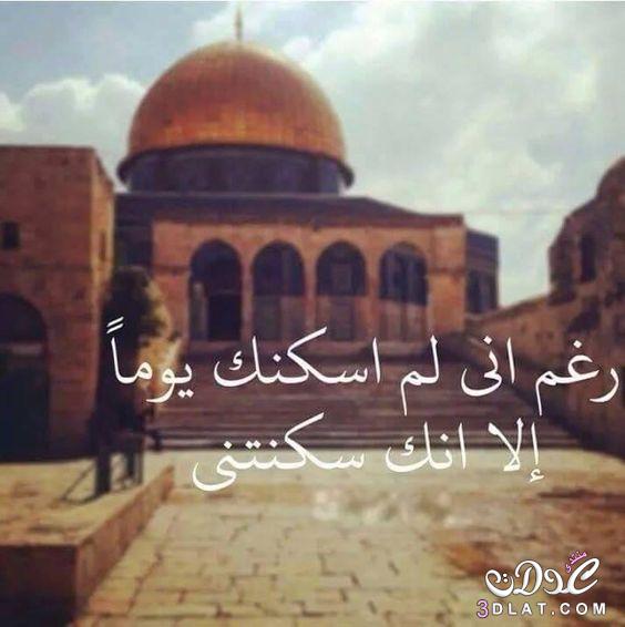 اجمل ما قيل عن القدس