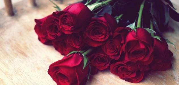 اجمل ما قيل عن الكبرياء