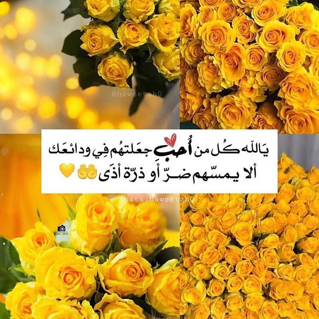 اجمل ما قيل عن اللون الاصفر