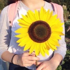 اجمل ما قيل عن اللون الاصفر