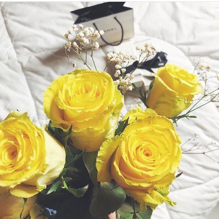 اجمل ما قيل عن اللون الاصفر