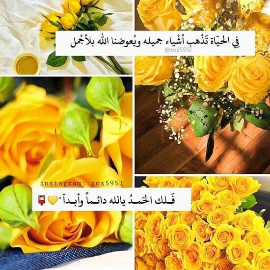 اجمل ما قيل عن اللون الاصفر