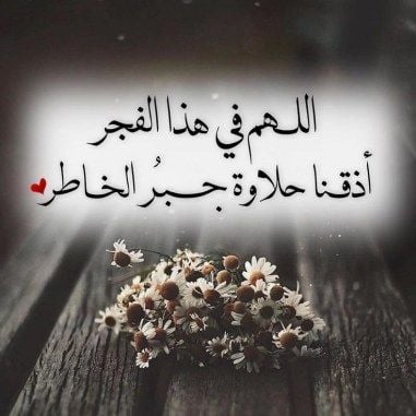 اجمل ما قيل في الفجر