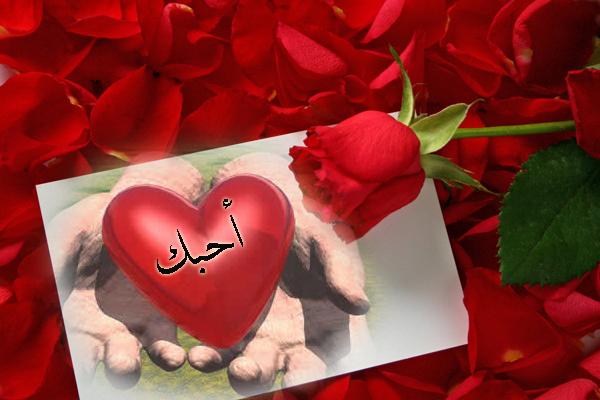 اجمل وردة حب في العالم