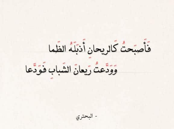 اقوال وحكم عن الشباب