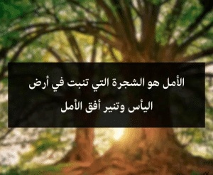 اقوال وحكم عن الشجرة