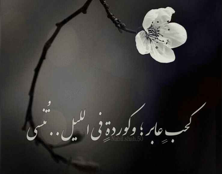 اقوال وحكم عن الليل