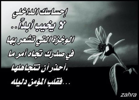 امثال وحكم بالصور