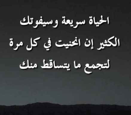 امثال وحكم بالصور