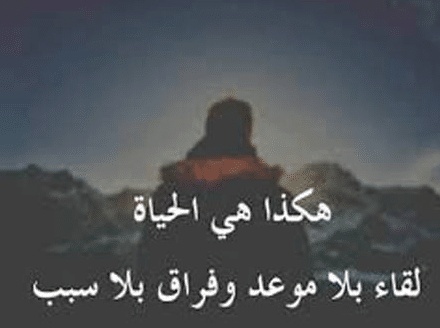 امثال وحكم بالصور