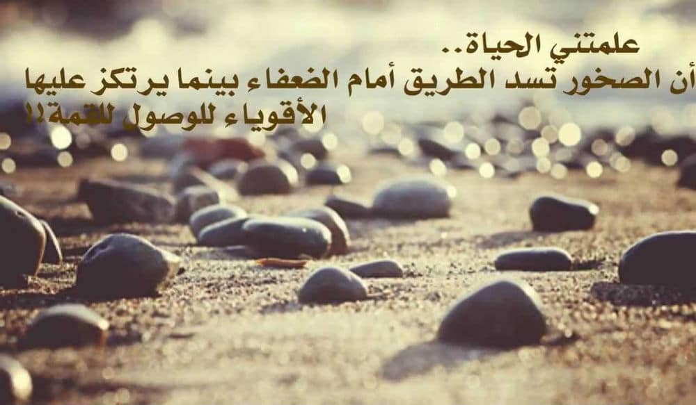 امثال وحكم بالصور