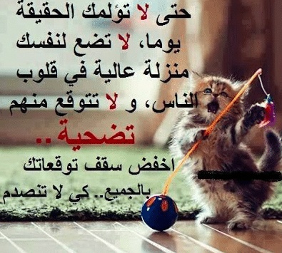 امثال وحكم بالصور