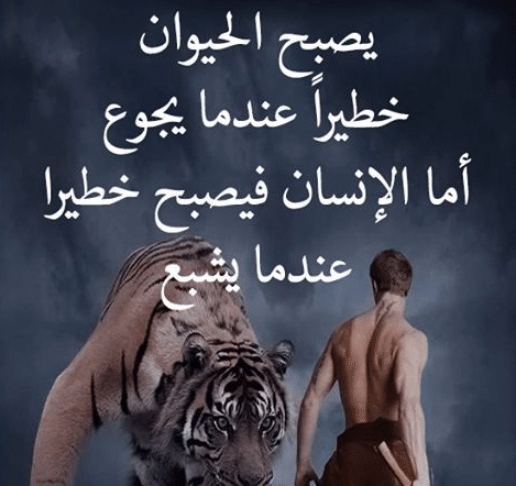 امثال وحكم بالصور