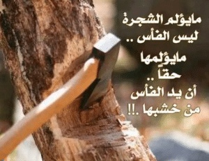 امثال وحكم بالصور