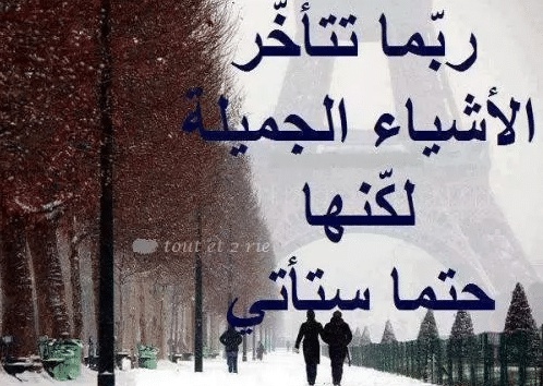 امثال وحكم بالصور
