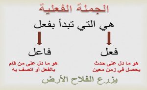 امثلة عن الجملة الفعلية