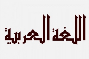 امثلة عن الجملة الواقعة مفعولا به