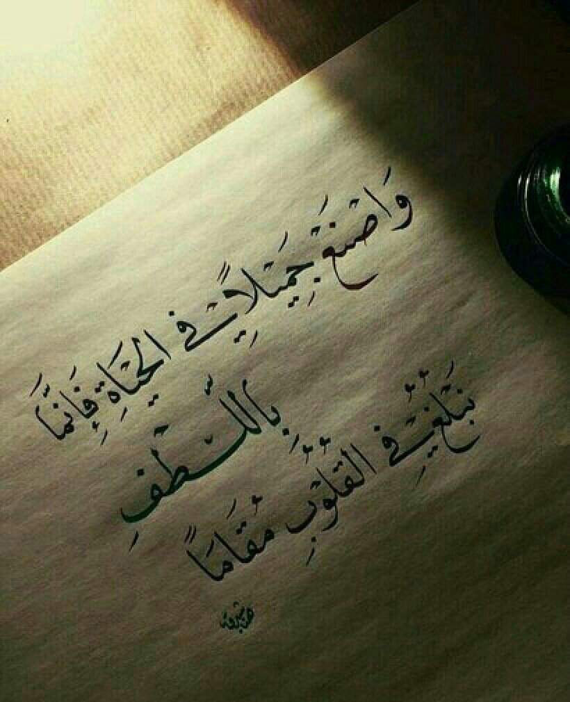 بالصور كلام من ذهب